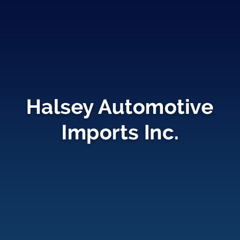 Halsey Placeholder Logo